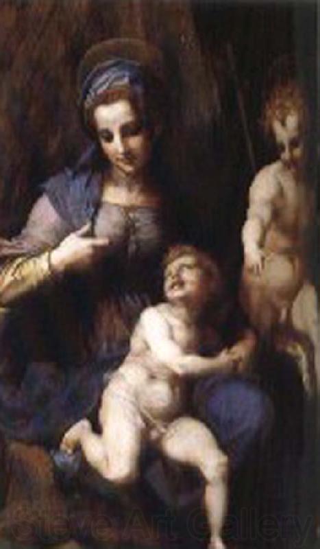 Andrea del Sarto Our Lady of St. John and the small sub Spain oil painting art